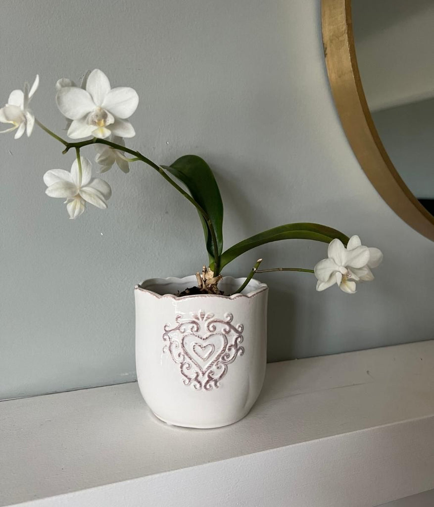 Embossed Heart Ceramic Pot – Highstreet Outlet UK