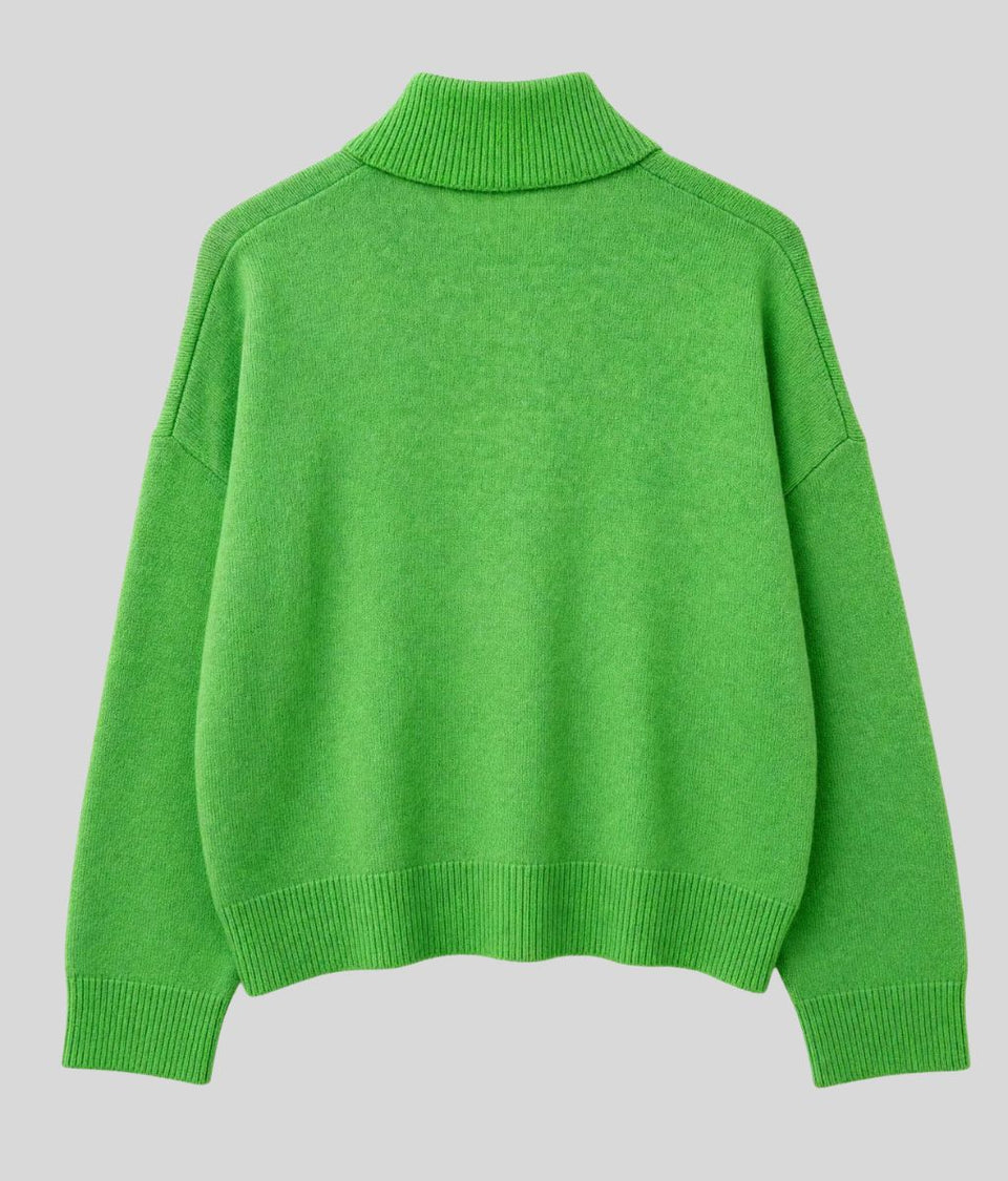 Green Designer Sia Alpaca Wool Zip Cardigan