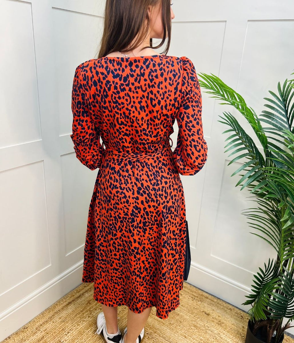 Orange & Navy Leopard Print Dress