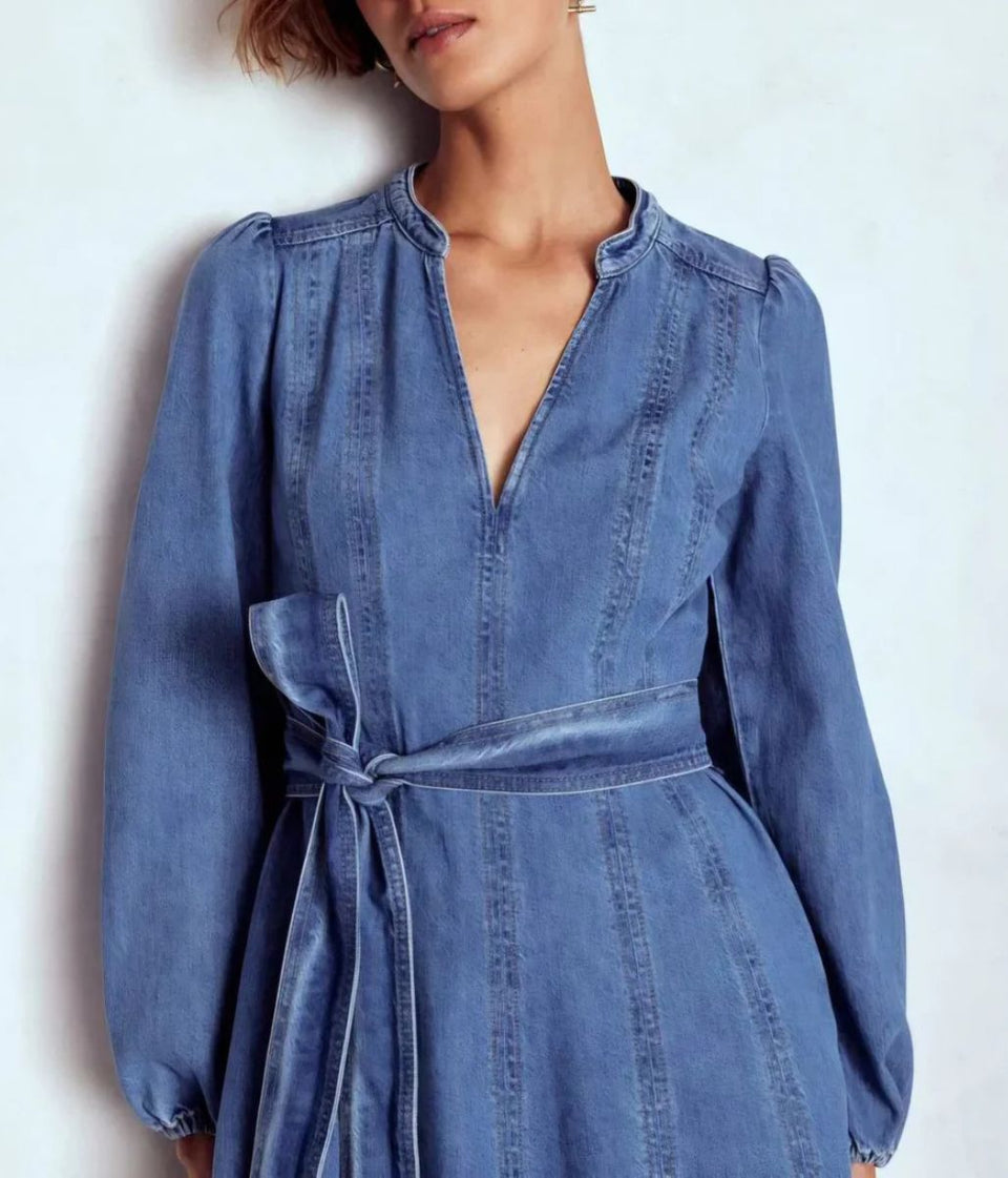 Denim Ros Panelled Midi Dress