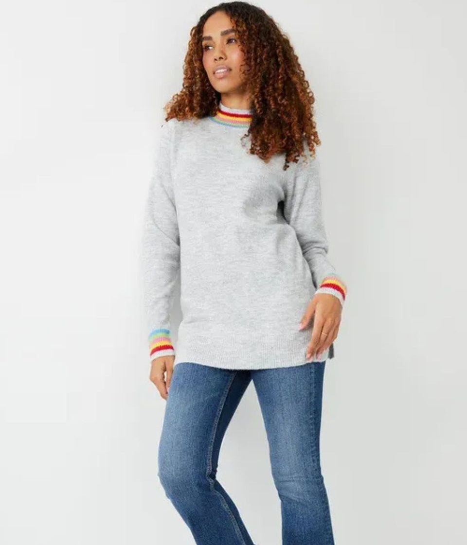 Grey Audrey Rainbow Trim Tunic Jumper