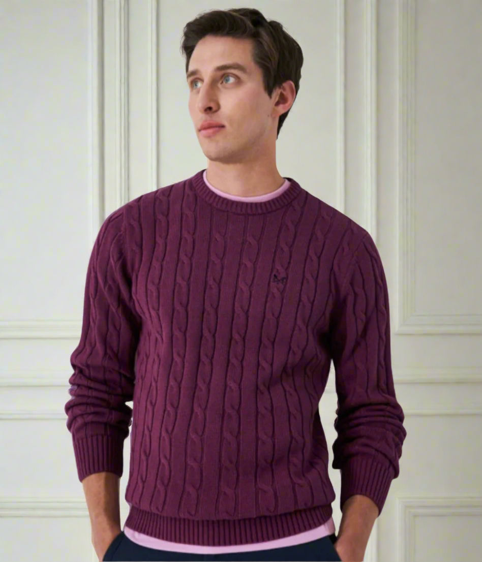 Purple Mens Oarsman Cable Jumper